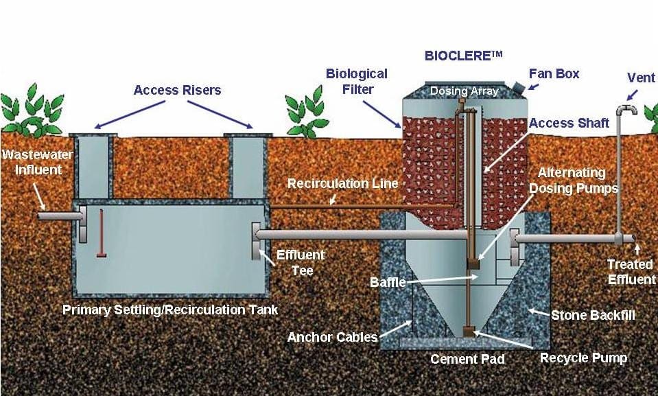 biocleresf