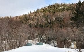 Cannon Mountain Biocleres